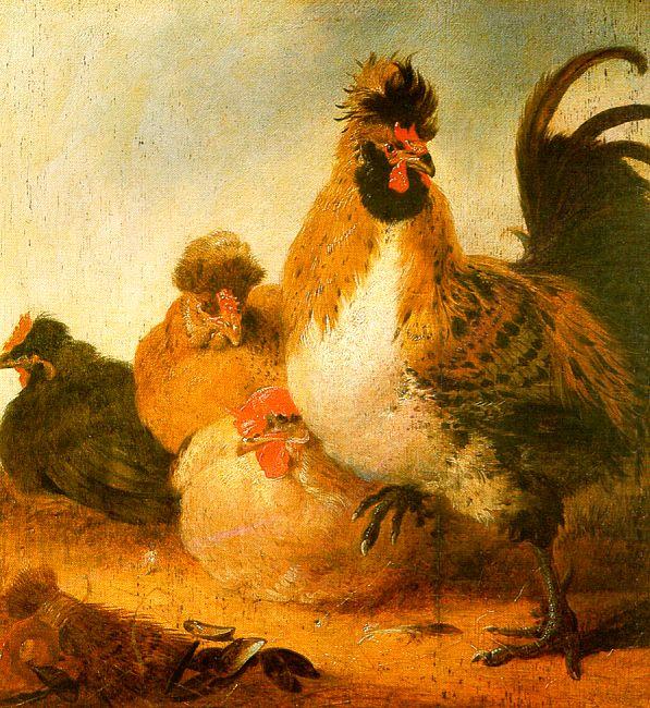 Rooster Hens, Aelbert Cuyp